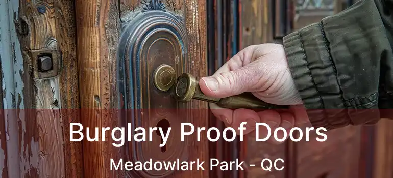 Burglary Proof Doors Meadowlark Park - QC