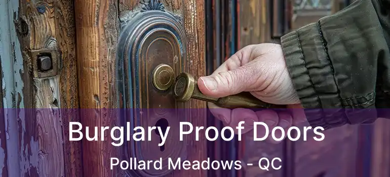  Burglary Proof Doors Pollard Meadows - QC