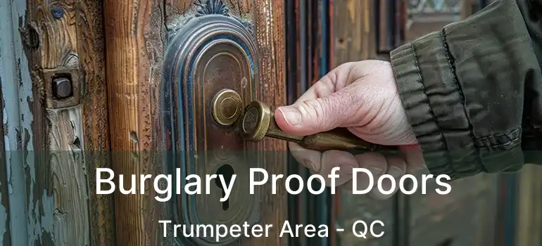  Burglary Proof Doors Trumpeter Area - QC
