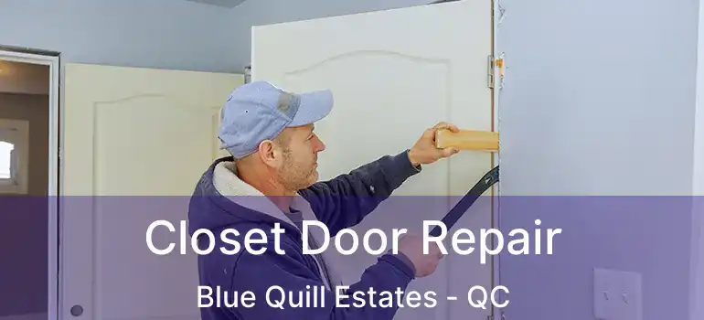  Closet Door Repair Blue Quill Estates - QC
