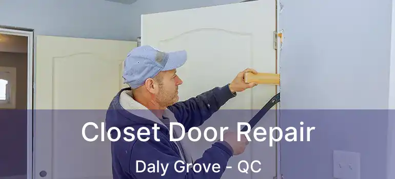  Closet Door Repair Daly Grove - QC