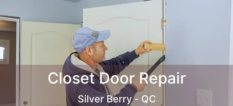  Closet Door Repair Silver Berry - QC