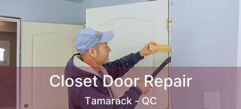 Closet Door Repair Tamarack - QC