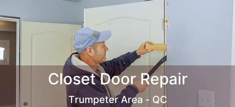  Closet Door Repair Trumpeter Area - QC