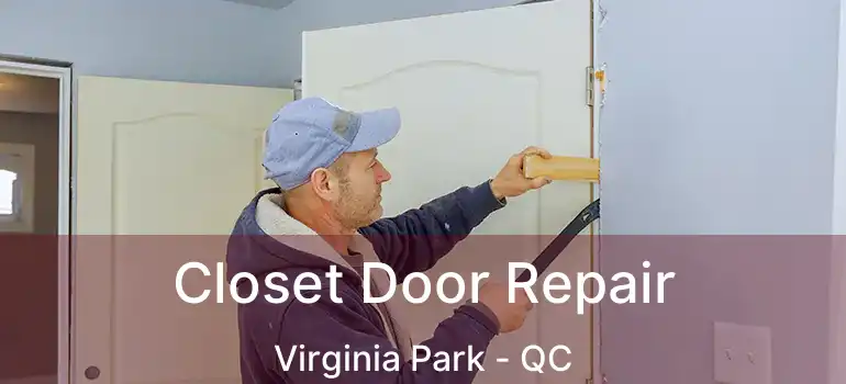  Closet Door Repair Virginia Park - QC