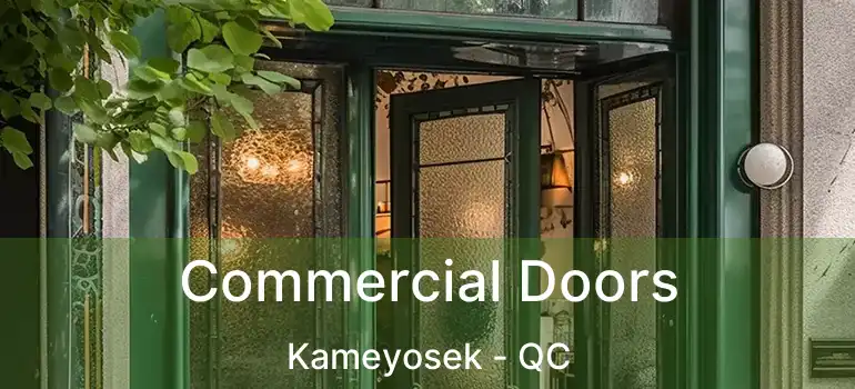  Commercial Doors Kameyosek - QC