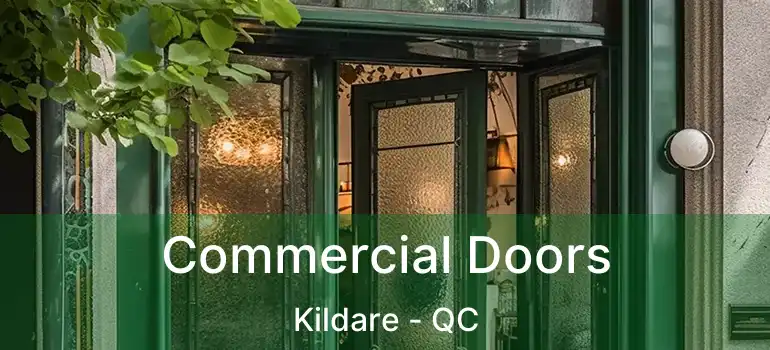  Commercial Doors Kildare - QC