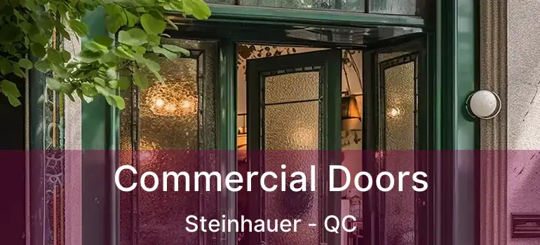  Commercial Doors Steinhauer - QC