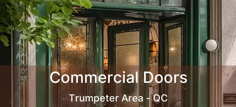  Commercial Doors Trumpeter Area - QC