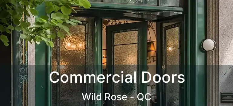  Commercial Doors Wild Rose - QC