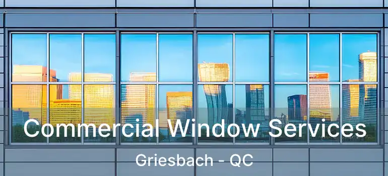  Commercial Window Services Griesbach - QC