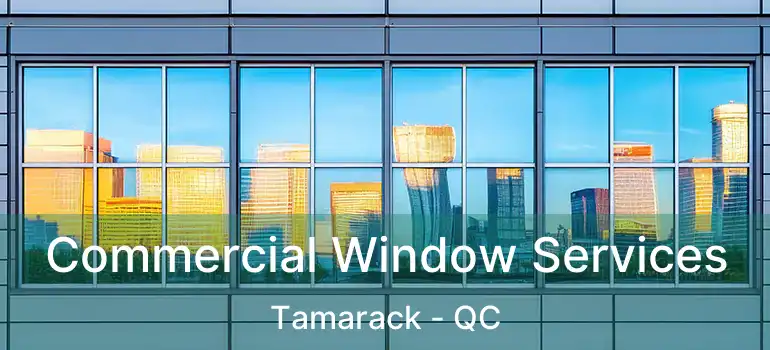  Commercial Window Services Tamarack - QC