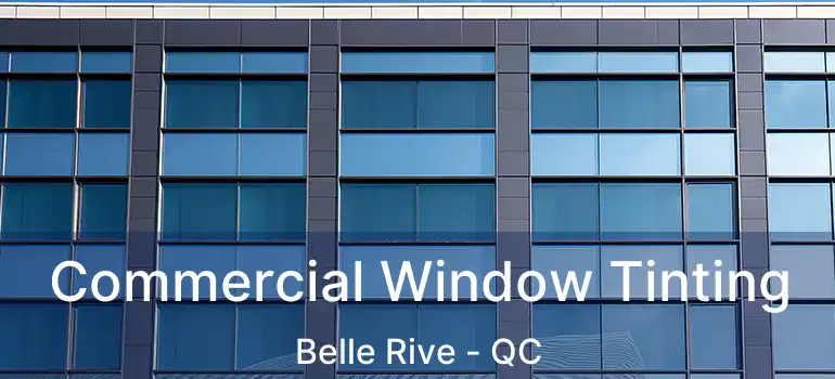  Commercial Window Tinting Belle Rive - QC