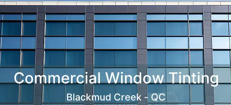  Commercial Window Tinting Blackmud Creek - QC