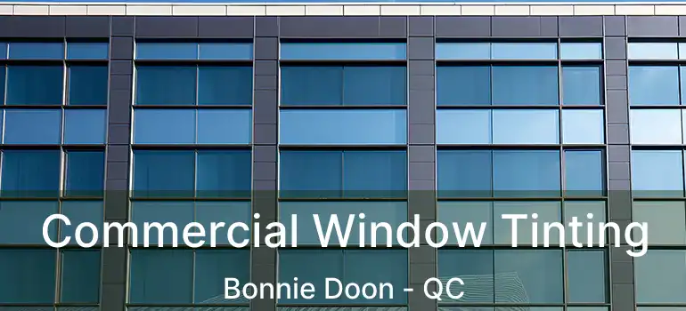  Commercial Window Tinting Bonnie Doon - QC