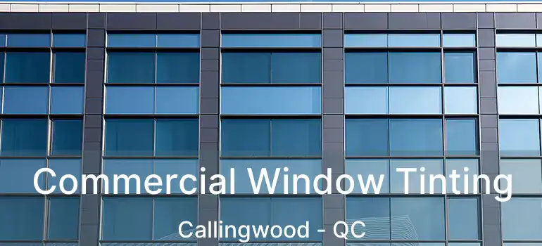  Commercial Window Tinting Callingwood - QC