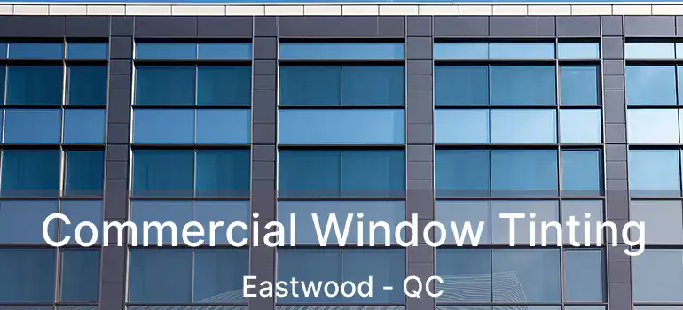  Commercial Window Tinting Eastwood - QC
