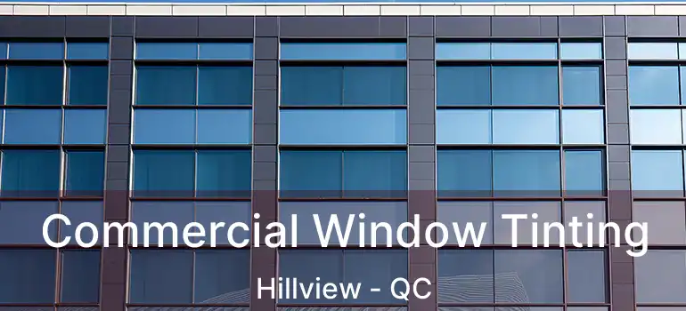  Commercial Window Tinting Hillview - QC