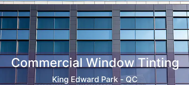  Commercial Window Tinting King Edward Park - QC