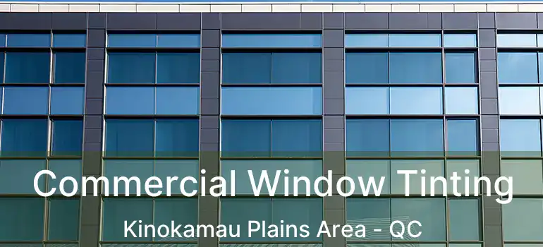  Commercial Window Tinting Kinokamau Plains Area - QC