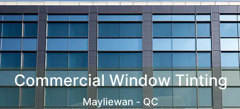  Commercial Window Tinting Mayliewan - QC