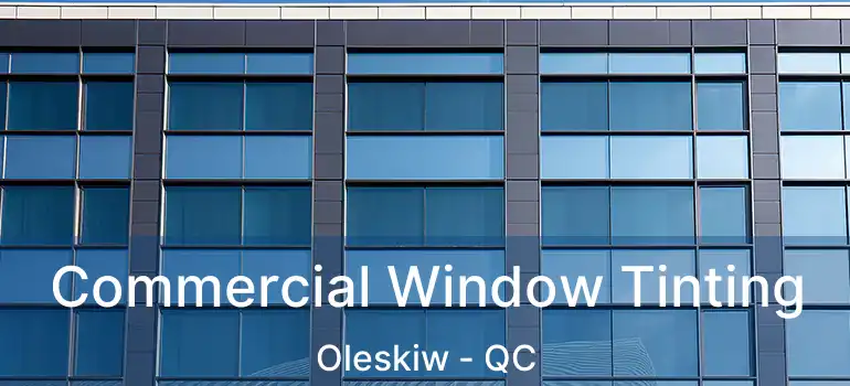  Commercial Window Tinting Oleskiw - QC