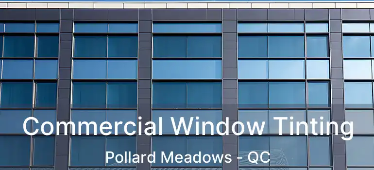  Commercial Window Tinting Pollard Meadows - QC