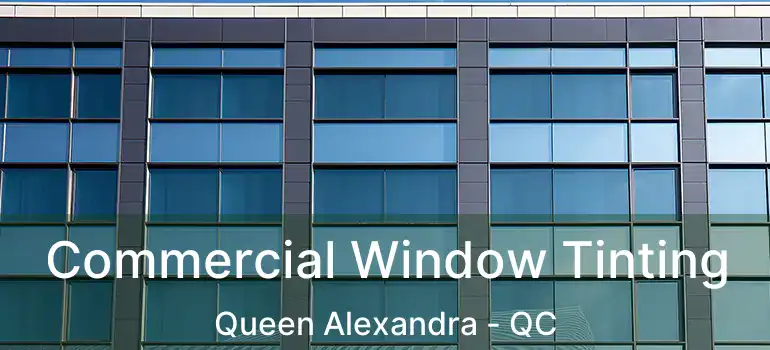  Commercial Window Tinting Queen Alexandra - QC
