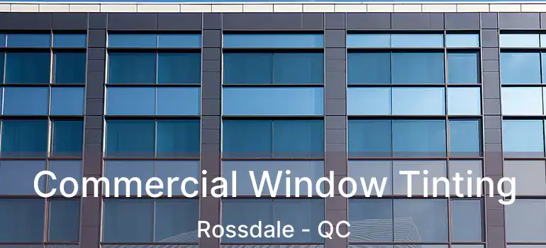  Commercial Window Tinting Rossdale - QC