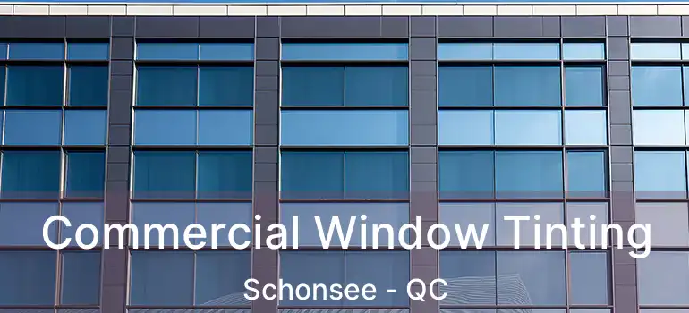  Commercial Window Tinting Schonsee - QC