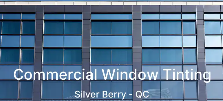  Commercial Window Tinting Silver Berry - QC
