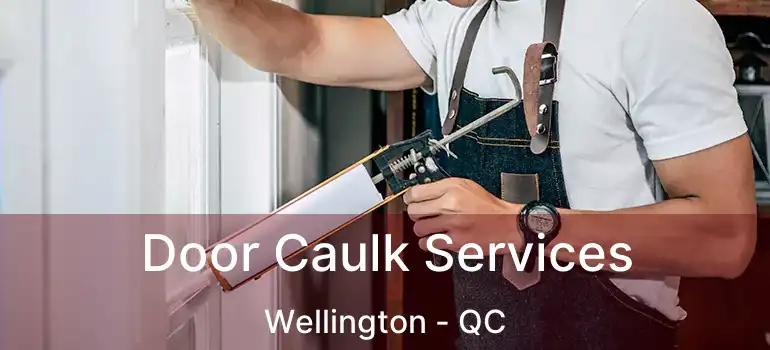 Door Caulk Services Wellington - QC