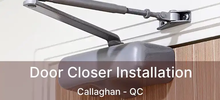  Door Closer Installation Callaghan - QC