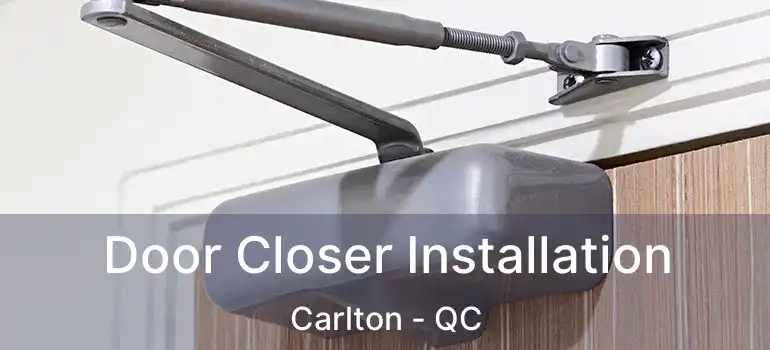  Door Closer Installation Carlton - QC