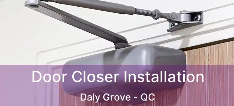  Door Closer Installation Daly Grove - QC
