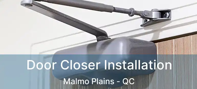  Door Closer Installation Malmo Plains - QC