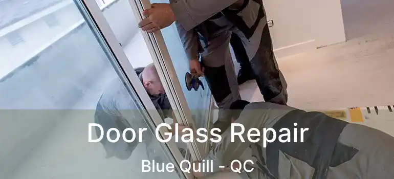  Door Glass Repair Blue Quill - QC