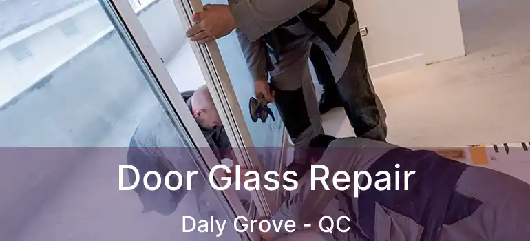  Door Glass Repair Daly Grove - QC