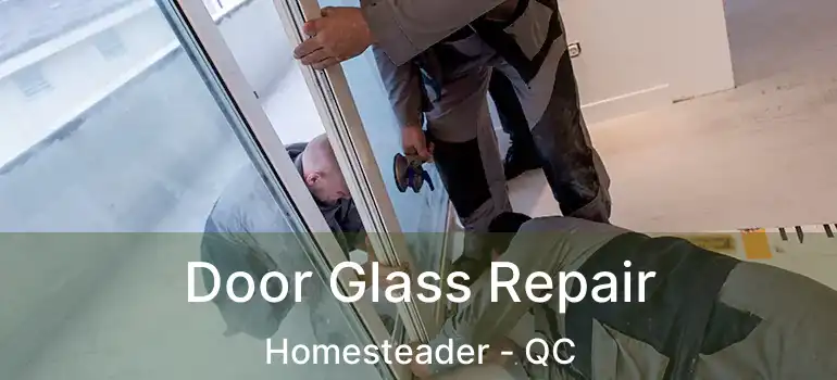  Door Glass Repair Homesteader - QC