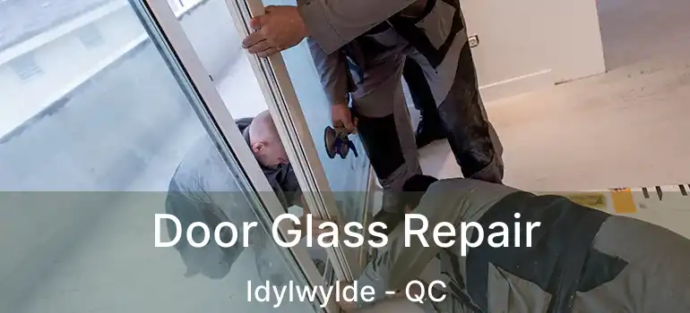  Door Glass Repair Idylwylde - QC