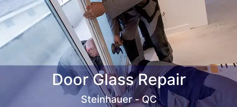 Door Glass Repair Steinhauer - QC