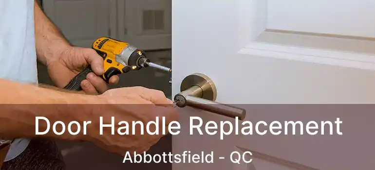 Door Handle Replacement Abbottsfield - QC