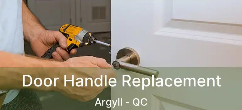  Door Handle Replacement Argyll - QC