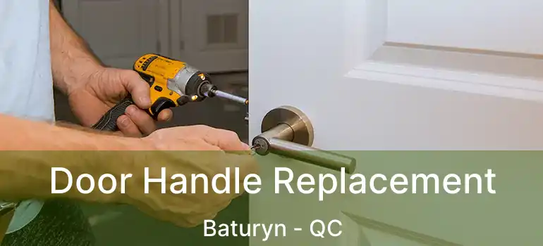  Door Handle Replacement Baturyn - QC