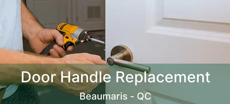  Door Handle Replacement Beaumaris - QC