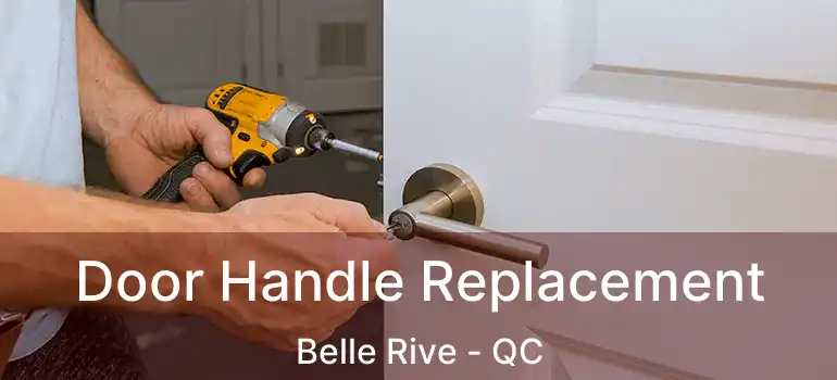  Door Handle Replacement Belle Rive - QC