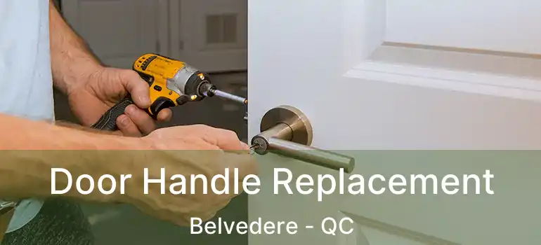  Door Handle Replacement Belvedere - QC