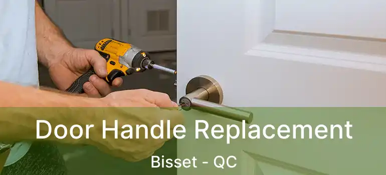  Door Handle Replacement Bisset - QC