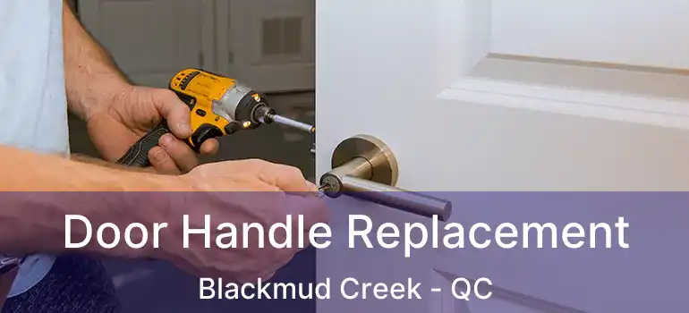  Door Handle Replacement Blackmud Creek - QC