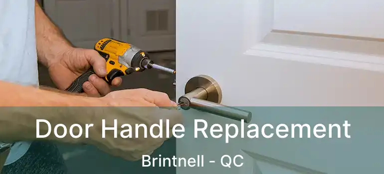 Door Handle Replacement Brintnell - QC